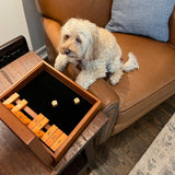 Picture of dog standing in chair looking over at shut the box on table.